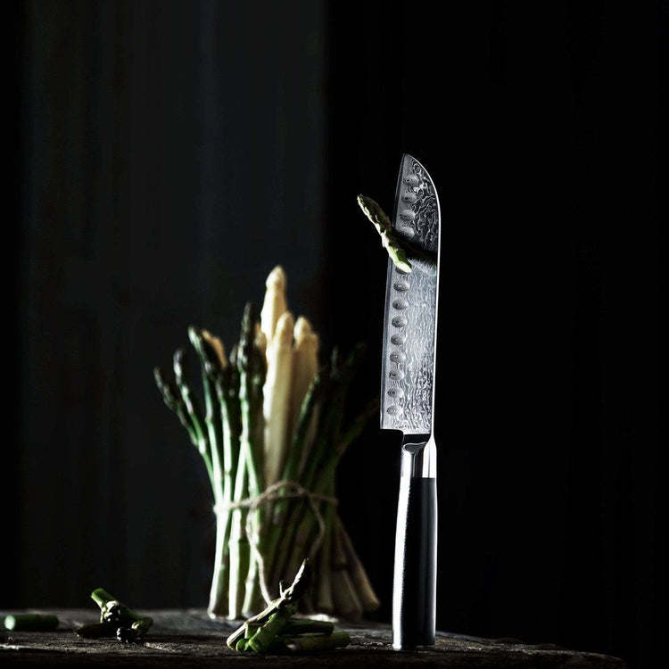 Santoku kokkekniv